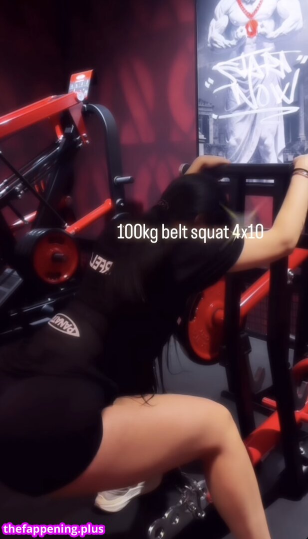 aneylyverst