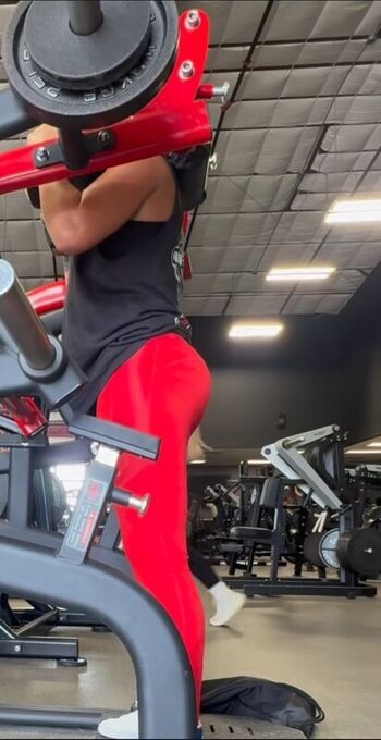 Bayley