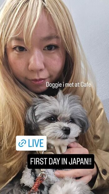 Bigcocobuns