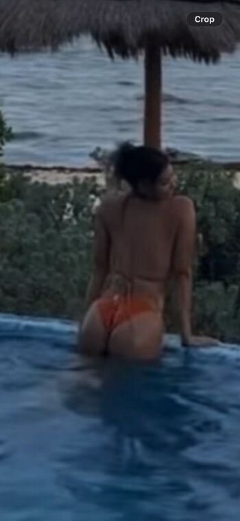 Bryceideeleos