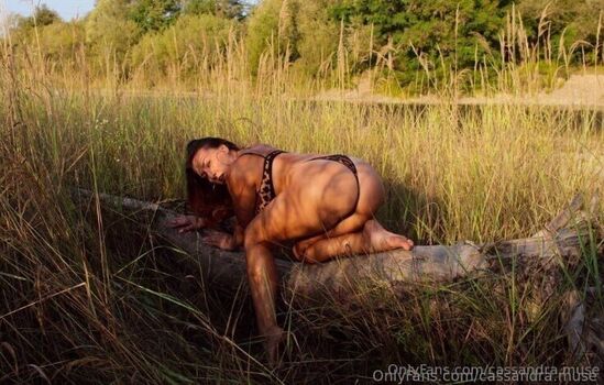 cassandra.muse