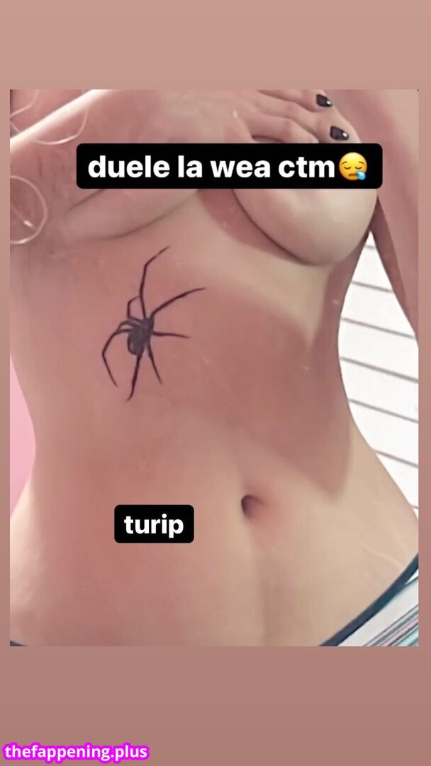 Chio Paleta