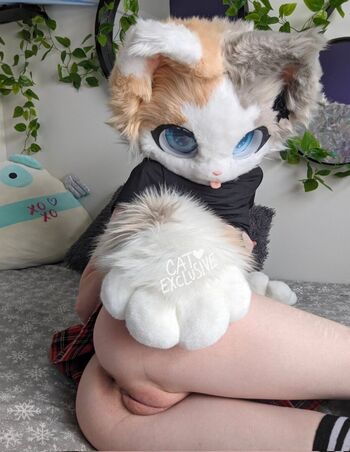 creamfilledcat