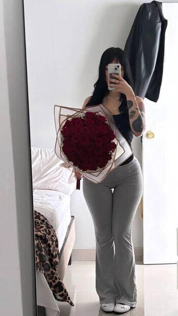 Dammiariess