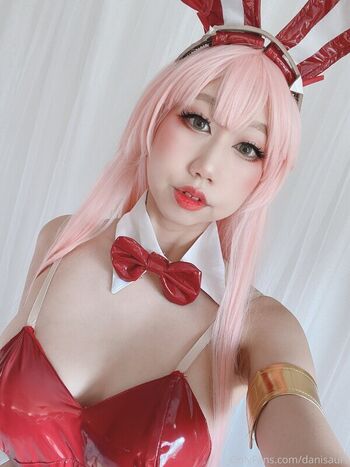 Danisaurz