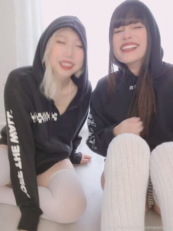 Danisaurz