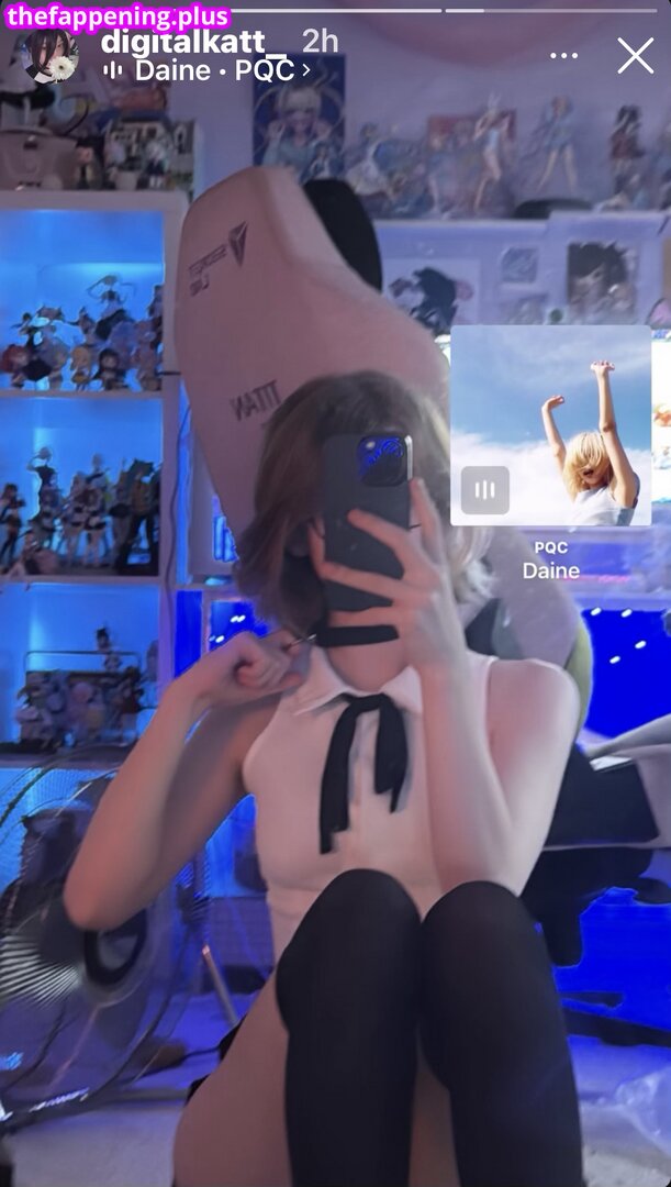 Digitalkatt