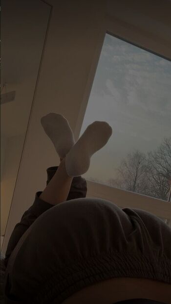 Fayesxh