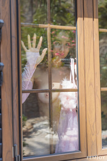 Femjoy