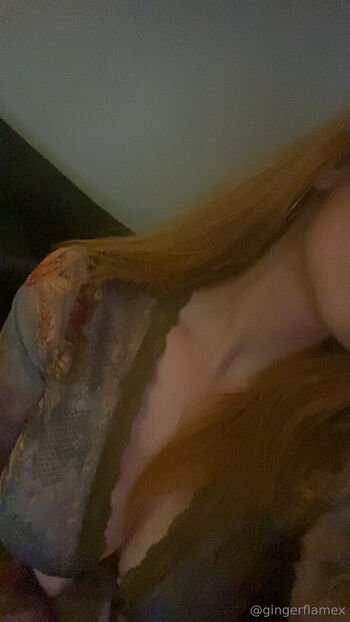 gingerflamex