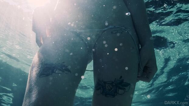 Haley Reed