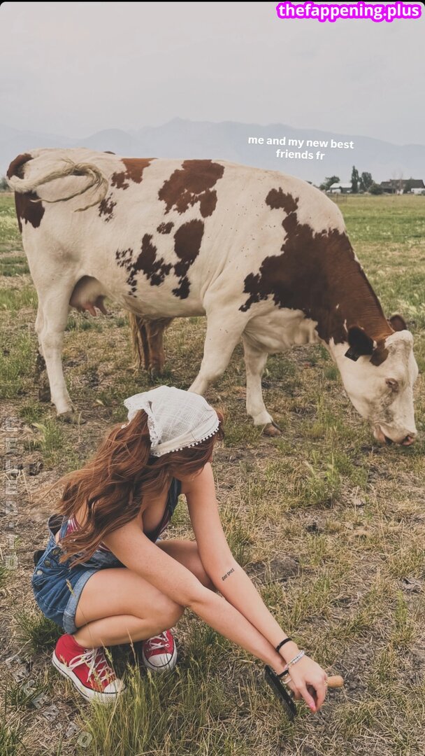 Hannah Stein