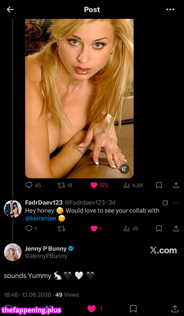 jenny_poussin_fan