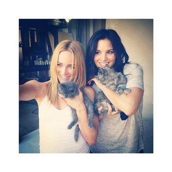 Katrina Law