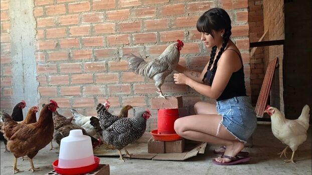La Criadora De Gallinas