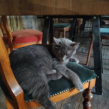 Lada Lyumos