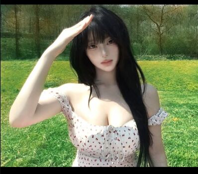 latulip_0