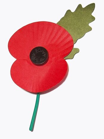 Liza Vaiss