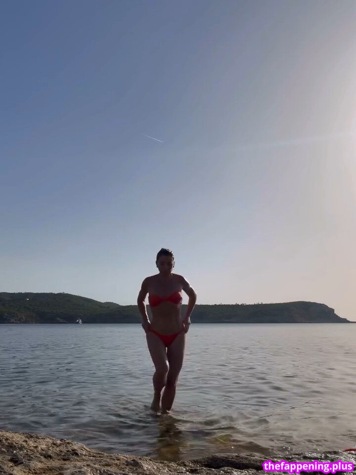 Ludwika Paleta
