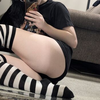 lynnetaps