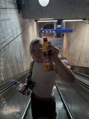 Majaaleonie