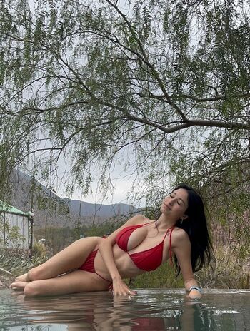 Milagros Seghi