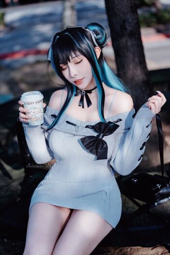 Nekoneko JX