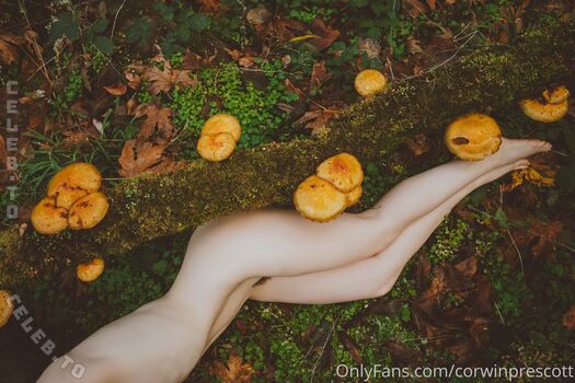 Nicole Vaunt