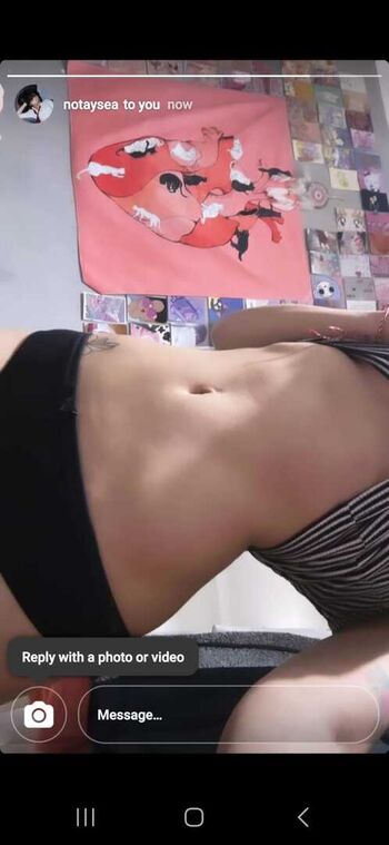 Notaysea