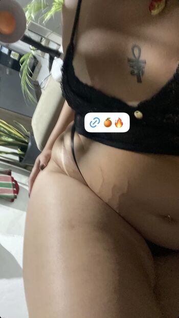 Novinhas Trans