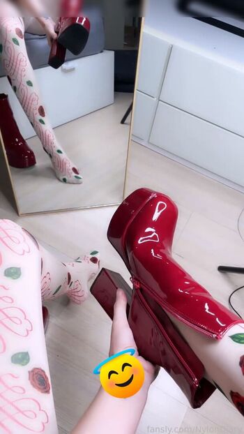 NylonDiary