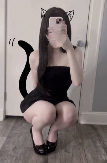 pawprjnts