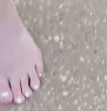 PrimatePaige
