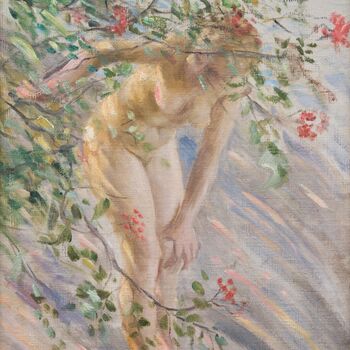 Rosebush