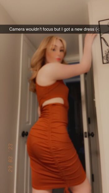 shy_trans
