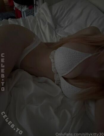 sillykitty30