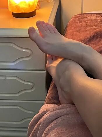 soft_animal