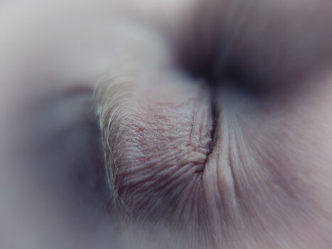 Something About Olive