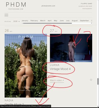 stacy_modell