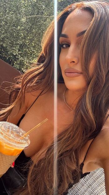 The Bella Twins