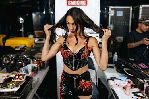 The Bella Twins