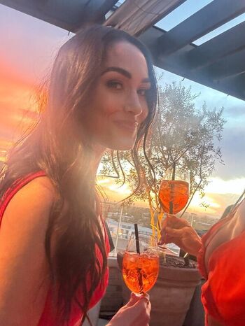 The Bella Twins
