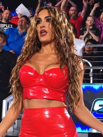 The Bella Twins