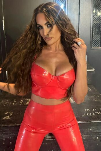 The Bella Twins