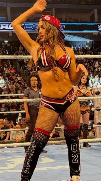The Bella Twins