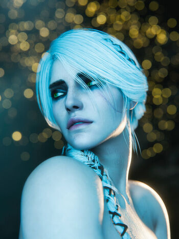 The Witcher