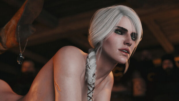 The Witcher