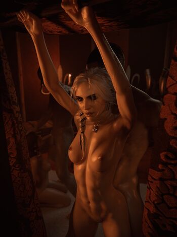 The Witcher