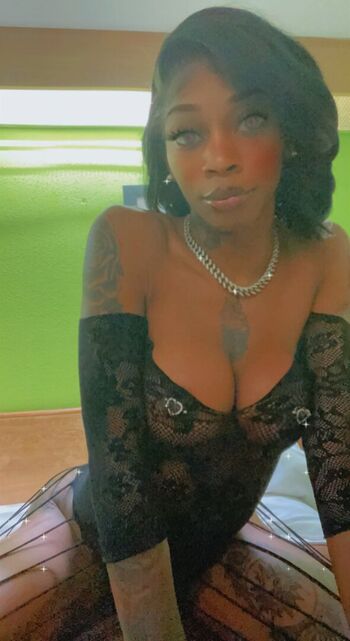 TheDreamDoll