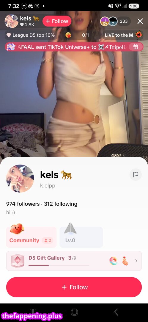 Tiktok Slips Discussion Thread